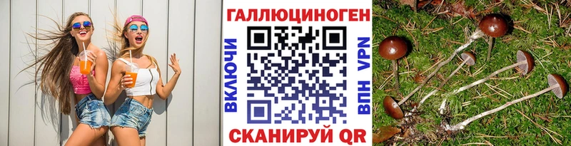Псилоцибиновые грибы Psilocybe  Воронеж 
